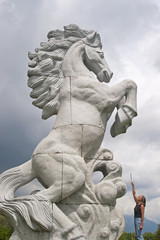 Fototapeta premium Pferdedressur