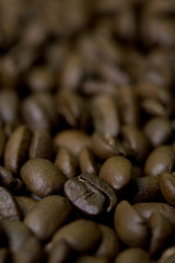 coffee beans