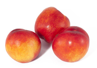 Nectarine