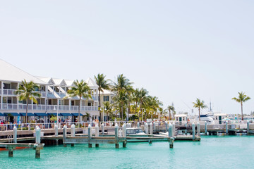 Obraz premium Harbor at Key West