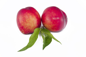 Nectarine