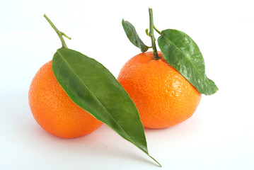 Tangerine