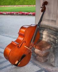 Cello in a beautiful garden