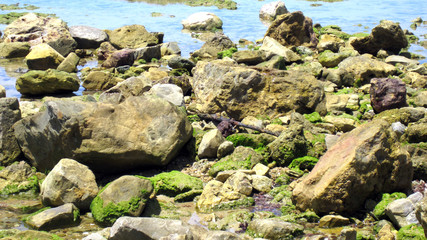 Rocky beach