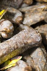 sausage salami of Corsica France