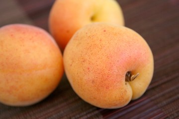 Aprikose (Prunus armeniaca)