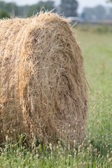balla di fieno