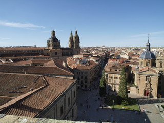 Universidad Pontificia desde lo alto de la Catedral de Salamanca