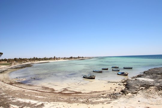 Tunisie - Djerba - Côte Sauvage