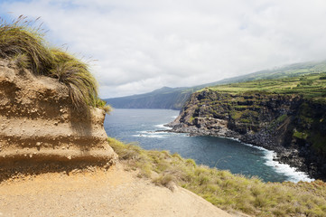 Fototapeta na wymiar Landscape in Faial, Azores