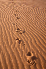 Footsteps
