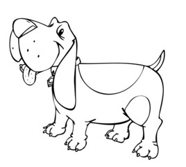 Hund, Basset, Haustier, Freude, Spaziergang