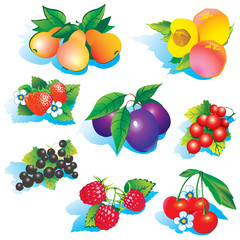 Fruits on a white background. Vector art-illustration.