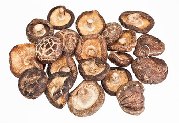 Dried field mushrooms isolated on white