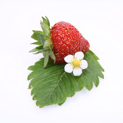 Strawberry on a leaf with a flower on white background