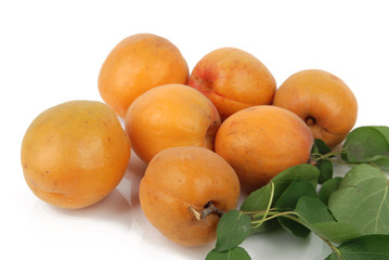 apricot