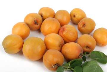 apricot