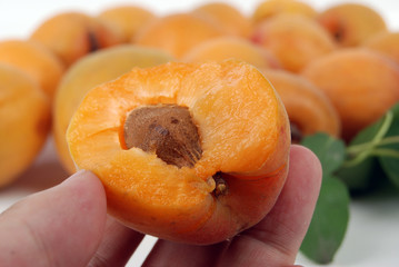 apricot