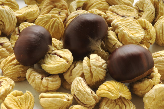 Castagne