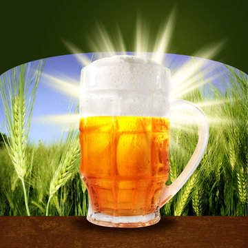 Bierglas - Cover