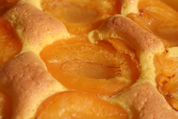 Aprikose