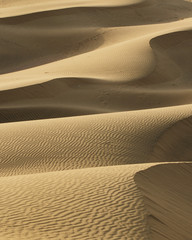 Fototapeta na wymiar Camel Safari - desert