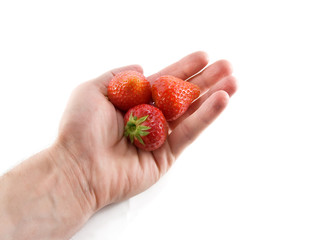 Obraz premium strawberry