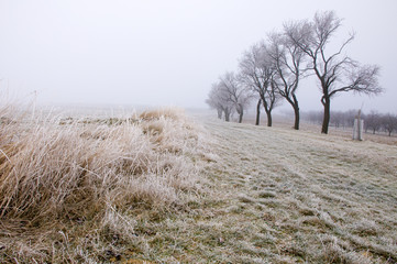 Countryside in the winter time