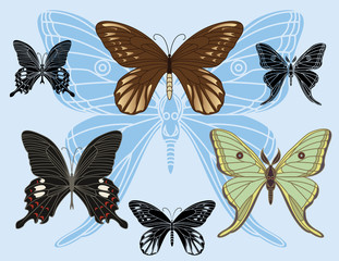 set of colored butterflies and stencils