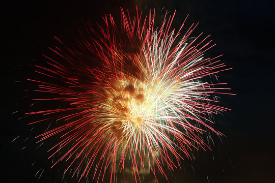 Multi-coloured fireworks in the night sky