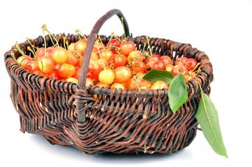 Un panier de cerises
