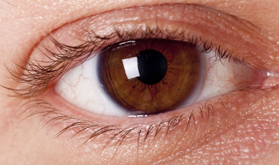 Fototapeta premium eye