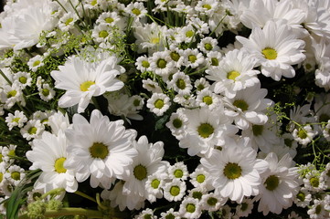 Bouquet with white flowers