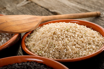 bowl with brown rice  - riso integrale