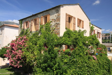 Fototapeta premium maison et fleurs