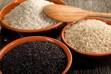 mix of rice - varieta' di riso