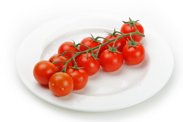 The fresh red tomato