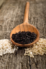 mix of rice - varieta' di riso