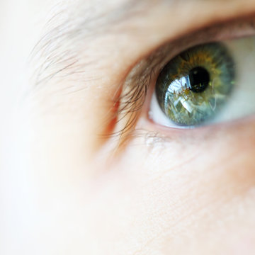 Human eye. macro