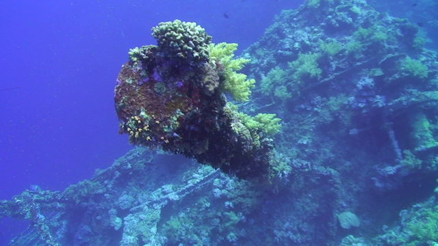 Mast of the SS Numidia