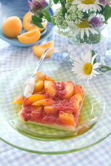 Apricot tart