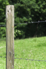 Holzpfahl mit Stacheldraht