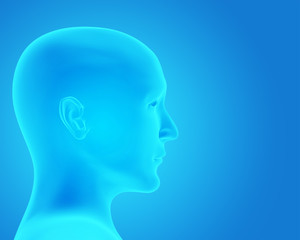 Head