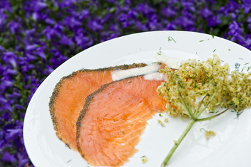 graved salmon