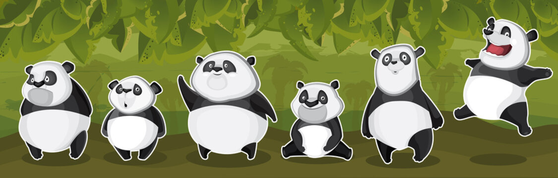 Pandas in the jungle