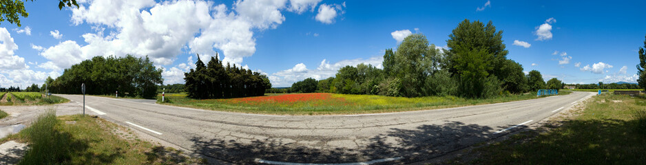 route départementale et champ de coquelicot dans la  campagne