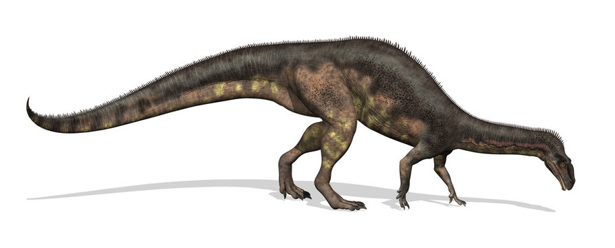 Plateosaurus Dinosaur