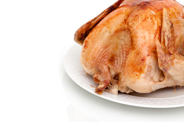 Whole turkey on white background