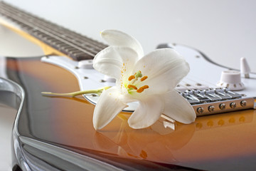 Guitar and flower