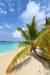 Obraz premium Beach Tranquility